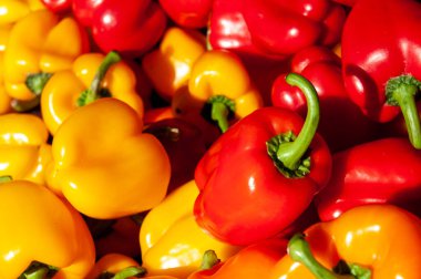 Taze sağlıklı sarı ve kırmızı biberler sepette.