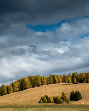 Manzara sonbahar çayırları ve Dolomite kayalık zirveleri. Alpe di siusi Seiser Alm South Tyrol İtalya Vadisi.