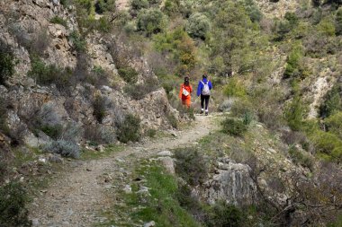 Ormanda doğa yolunda yürüyüş yapan genç kadınlar. Sağlıklı yaşam tarzı açık havada geziniyor.