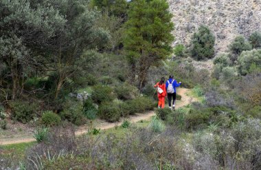 Ormanda doğa yolunda yürüyüş yapan genç kadınlar. Sağlıklı yaşam tarzı açık havada geziniyor.