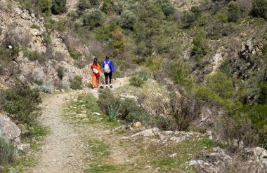 Ormanda doğa yolunda yürüyüş yapan genç kadınlar. Sağlıklı yaşam tarzı açık havada geziniyor.