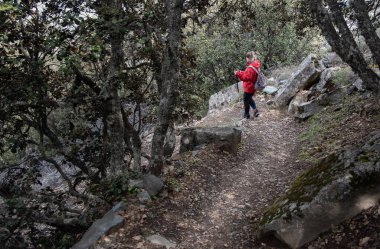 Yürüyüş sopalarıyla ormanda dağ yolunda gezen bir kadın..