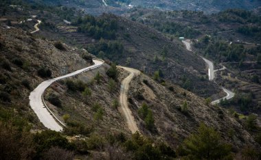 Eğri dağ yolu boş. Orman tehlikeli asfalt kırsal yol