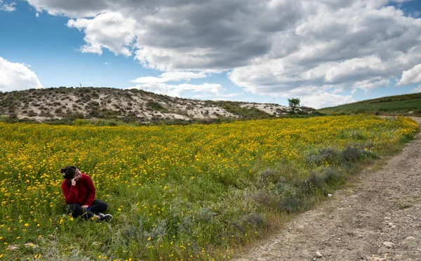 Młoda kobieta siedzi na polu z żółtymi marguerite kwiaty korzystających z natury wiosną. — Zdjęcie stockowe