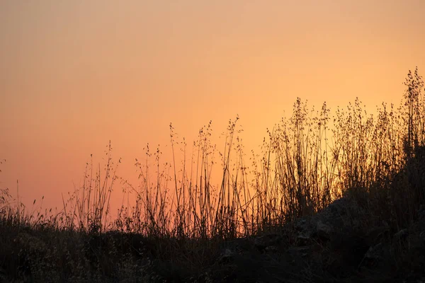 Strahlender Sonnenaufgang auf dem Feld vor klarem orangefarbenem Himmel — Stockfoto