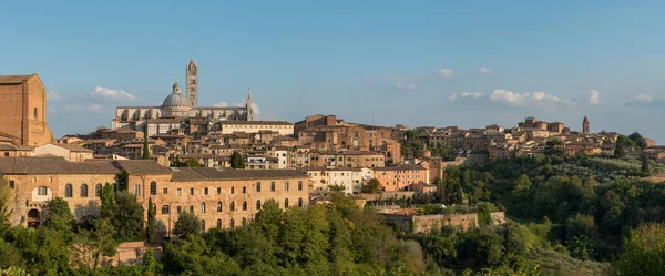 Paysage Urbain Panoramique Ville Historique Sienne Toscane Centrale Italie — Photo