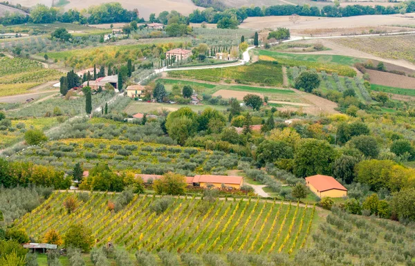 Fileiras de vinhas de uva nua podadas no início do outono com casas de campo na área da Toscana, na Itália — Fotografia de Stock