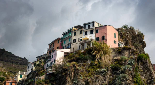 Χωριό Manarola με πολύχρωμα σπίτια στην άκρη του βράχου Riomaggiore, Cinque Terre, Λιγουρία, Ιταλία — Φωτογραφία Αρχείου