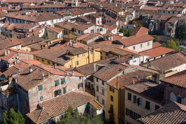 Torre Ginigi 'nin Lucca kasabasındaki çatıları olan şehir manzarası. Toskana Orta İtalya