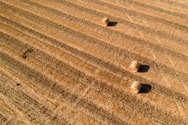 Aerial view of agriculture field with round bales of hay after harvesting. Aerial view — Stock Photo, Image