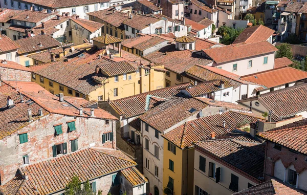Torre Ginigi Kulesi 'nden Lucca kasabasının çatıları olan şehir manzarası. Toskana Orta İtalya — Stok fotoğraf