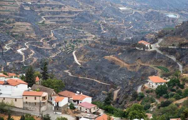 Fogo de montanha com terra queimada e desastre na agricultura. Aldeia de Odou Chipre. Desastre ambiental — Fotografia de Stock