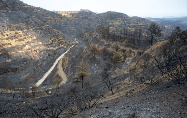 Yanmış tarım arazisi ve ormanı olan dağ yangını. Odou köyü Kıbrıs. Çevre felaketi