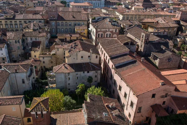 Stadsbild med hustak av Lucca stad från Torre Ginigi torn. Toscana centrala Italien — Stockfoto