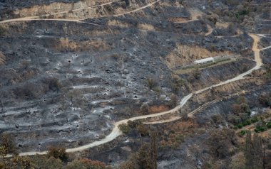 Mountain fire with burned agriculture land and forest. Disaster of the environment