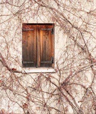 Sonbaharda ahşap pencere