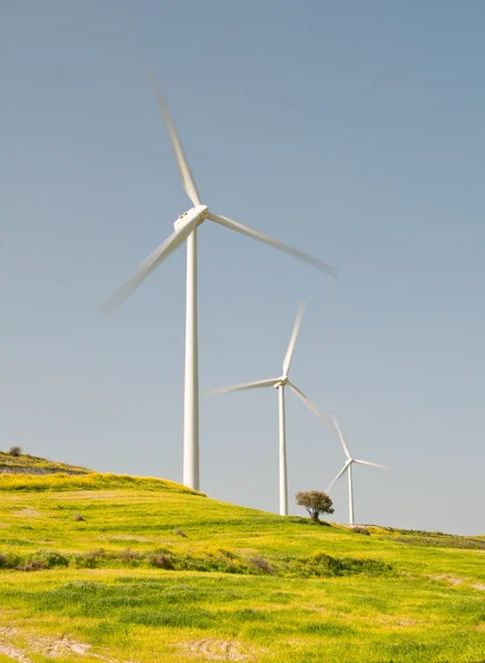 Rüzgar Türbini türbin jeneratör enerji — Stok fotoğraf