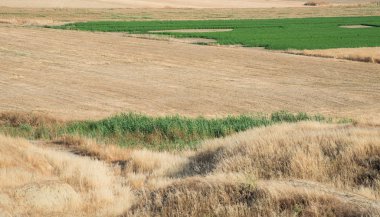 Tarım arazi ile tahıl hasat alanları ve yeşil çimen