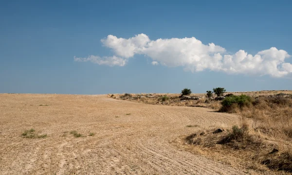 Terras agrícolas após a colheita com céu azul e nuvens . — Fotografia de Stock