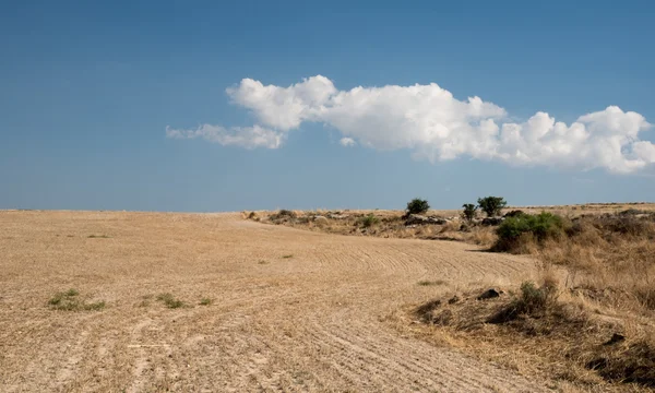 Καλλιεργήσιμο έδαφος μετά τη συγκομιδή με το γαλάζιο του ουρανού και τα σύννεφα. — Φωτογραφία Αρχείου