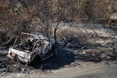 Kömürleşmiş bir araç, kararmış ağaçların ve orman yangınlarından ağır hasar görmüş bir ormanda yanmış toprağın arasında duruyor. Sahne yıkımın sonuçlarını gösteriyor..