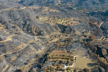 Kavrulmuş zemin, gün ışığında kömürleşmiş ağaçlar ve karartılmış topraklar bırakarak ormanı kasıp kavuran yıkıcı bir yangının sonuçlarını gösteriyor. Kıbrıs Rum Kesimi