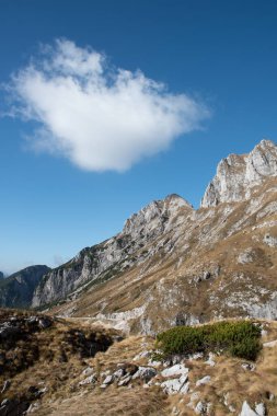 Ön planda kuru çimenler ve kayalar, dağlarda ve mavi gökyüzünde biraz bulut var. Julian Alps slovenia.