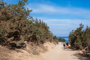 Güneşli bir günde insanlar tozlu bir yolda yürür, Akamas yarımadasının güzel doğa ve ormanlarla kaplı yamaçlarını keşfederler.