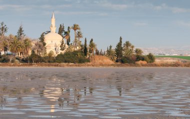 Hala Sultan Tekke Müslüman Camii Larnaka Kıbrıs