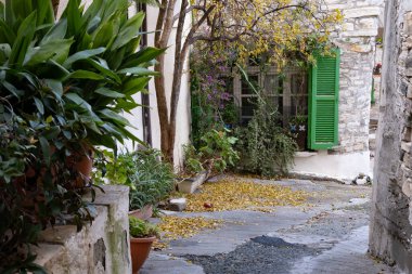 Köy yolunda canlı yeşil pencere panjurları, bitkiler ve sonbahar yaprakları olan eski taş bina cephesi. Lefkara Köyü Kıbrıs