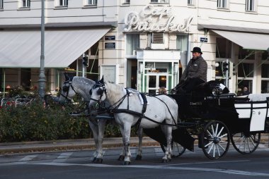 Fiaker at arabasında oturuyor. Sokağın köşesinde iki at sabit duruyor. Arka planda kahve dükkanı var. Viyana Avusturya