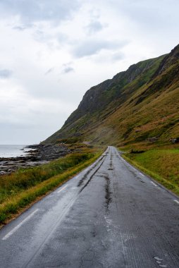 Sahilden sahile doğru uzanan yol bir tarafında kayalıklar, diğer tarafında deniz var. Bulutlu, yağmurlu bir gün. Lofoten Adaları Norveç.