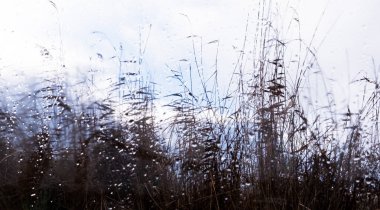 Camdan pencereyi kaplayan yağmur damlaları, arka plan görüntüsünü bulanıklaştırıyor, uzun, vahşi otların silueti dışarıda karamsar bir gökyüzüne karşı.