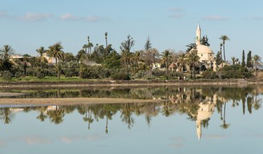 Hala Sultan Tekke Müslüman Camii Larnaka Kıbrıs