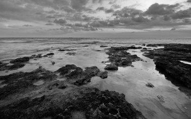 Dramatik kıyı deniz manzarası