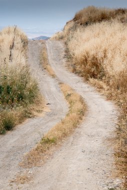 Tek şeritli düz kırsal köy yolunda