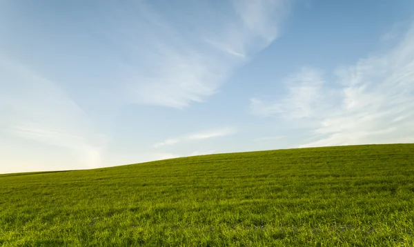 Grüne Wiese und blauer bewölkter Himmel — Stockfoto