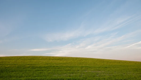 Grüne Wiese und blauer bewölkter Himmel — Stockfoto