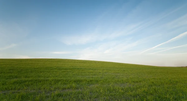 Champ vert et ciel nuageux bleu Environnement — Photo