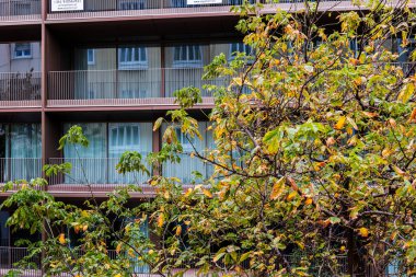 Lizbon, Portekiz 'de sonbahar renklerinde yaprakların arkasına kısmen gizlenmiş camdan balkonları olan modern bir apartman dairesi.