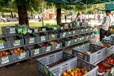 Yeşil çadırların altında taze meyve ve sebzelerle dolu açık hava pazarları, canlı bir park ortamında yerel organik ürünleri araştıran müşteriler..