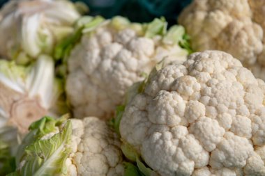 Taze Brassica oleracea var. Botrytis karnabahar başlığı yerel bir çiftçi pazarında, detaylı beyaz çiçekler ve doğal doku gösteriyor..