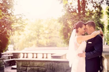 Gelin ve damat parkta sarılma.