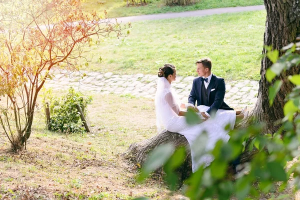 Jeune couple assis sur un tronc d'arbre dans le parc — Photo