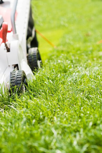 Lawn mower cutting green grass in garden.