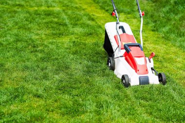 Çim biçme makinesi yeşil çimleri kesiyor. 