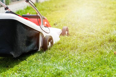 Çim biçme makinesi yeşil çimleri kesiyor. 