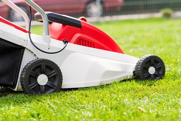 Çim biçme makinesi yeşil çimleri kesiyor. 