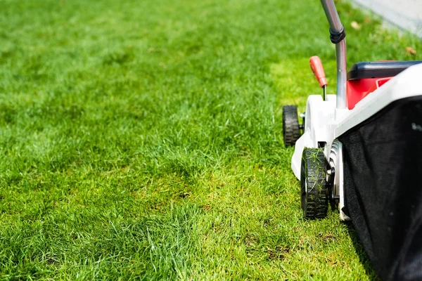 Lawn mower cutting green grass. — Stock Photo, Image