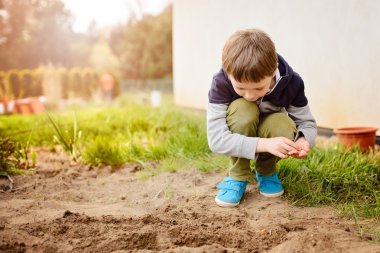 Ev bahçesinde sebze Ekim çocuk.